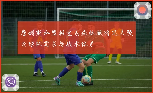 詹姆斯加盟掘金或森林狼将完美契合球队需求与战术体系
